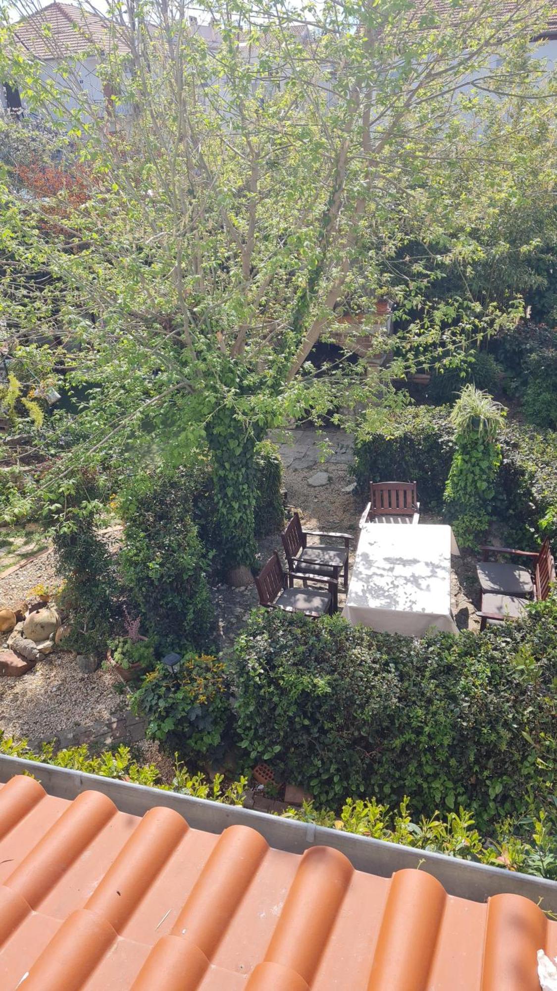 Apartman Rio *